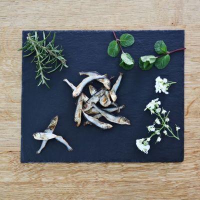 Nutriment Little Fish