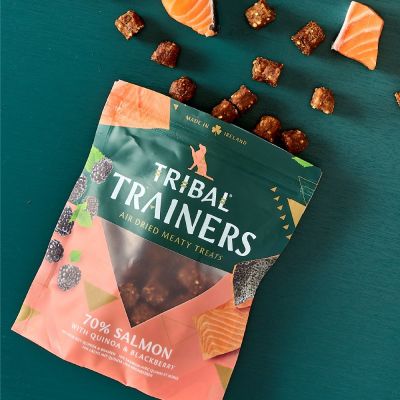 Tribal Trainers Salmon & Blackberry Dog Treats