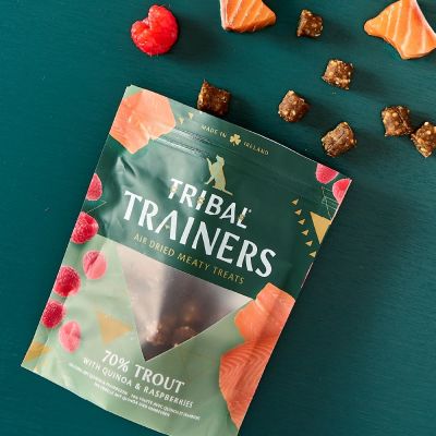 Tribal Trainers Trout & Raspberry Dog Treats